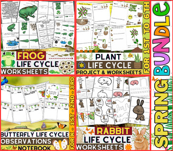 Preview of Spring Animals Life Cycles - Butterfly, Frog, Rabbit and Plant Life Cycle