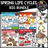 Spring Animals Life Cycles Clip Art Bundle {Educlips Clipart}