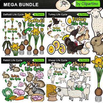 Preview of Spring Life cycle Clip Art BUNDLE /Spring Animals Clip Art Commercial use