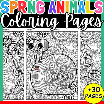 Preview of Summer Animals Mandala Coloring Pages - End Of The Year Fun Mindful Worksheet