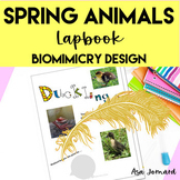 Spring Animal Project |  Biomimicry Design Activities |  L