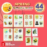 Spring Animals and Insects Vocabulary Flashcards | Spring 