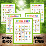 Spring BINGO | Spring Vocabulary | Spring Break Activities