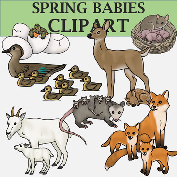 Preview of Spring Babies Clipart