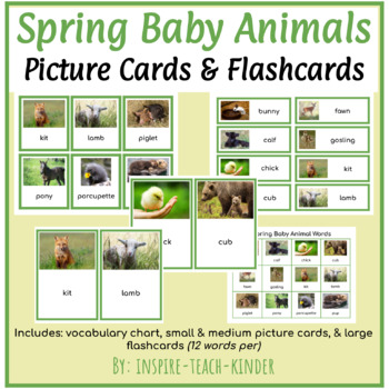 Spring Baby Animals Photo Picture Cards & Flash Cards (Montessori)