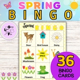Spring Bingo, Classroom Management Activity, Vocabulary Pr