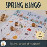 Spring Bingo Game - Learn About Seasons Vocabulary Building Game