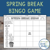 Spring Bingo Game | Spring Break Bingo