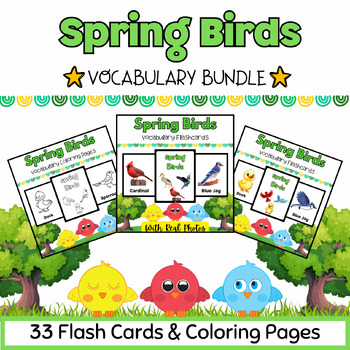 Preview of Spring Birds Coloring Pages & Flashcards BUNDLE for PreK-K Kids - 33 Printables