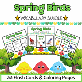 Spring Birds Coloring Pages & Flashcards BUNDLE for PreK-K