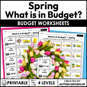 Preview of Spring Budget | Life Skills Worksheets for Special Education