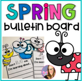 Spring Bulletin Board - Bug Theme