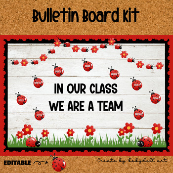 Preview of Spring Bulletin Board, Ladybug In Our Class We Are a Team Bulletin Board