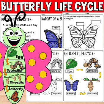 Preview of  Spring Craft Activities Butterfly Life Cycle - Science Unit Writing Craft Sheet