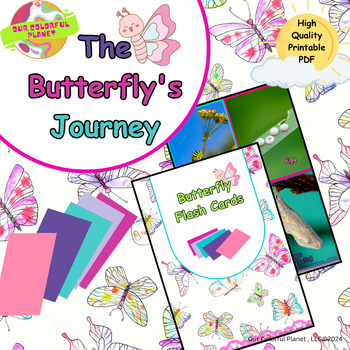 Preview of Spring Butterfly Life Cycle Stages Flash Cards, Freebie