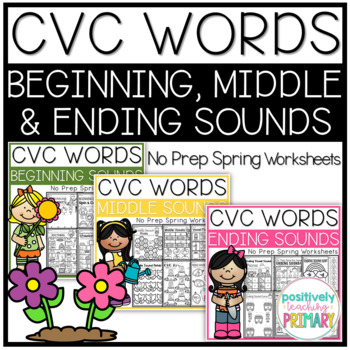 beginning middle and end sounds worksheets teaching resources tpt