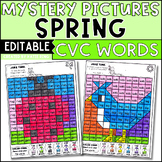 Spring CVC Words Practice Coloring Pages Editable Worksheets