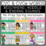 Spring CVC and CVCe Words | Beginning Middle and Ending So