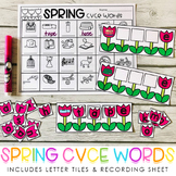 Spring CVCE Words - CVCE Word Building - CVCE Task Cards