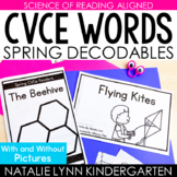 Spring CVCe Word Decodable Readers Science of Reading Seas