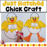 Spring Chick Craft | Life Cycle of a Chicken | Chicken Life Cycle