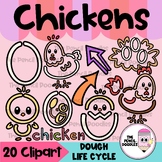 Spring Chicken Life Cycle Dough Clipart - Clip Art Ciclo d