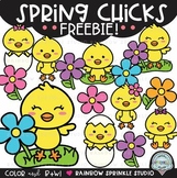 Spring Chicks Clipart FREEBIE!