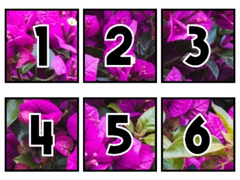 Preview of Spring Classroom Calendar Set, Bougainvillea Flowers #10Sheet Size: 8.5 by 11