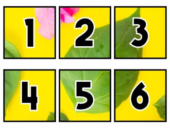 Preview of Spring Classroom Calendar Set, Bougainvillea Flowers #19Sheet Size: 8.5 by 11