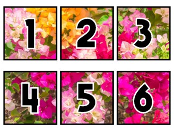 Preview of Spring Classroom Calendar Set, Bougainvillea Flowers #22Sheet Size: 8.5 by 11