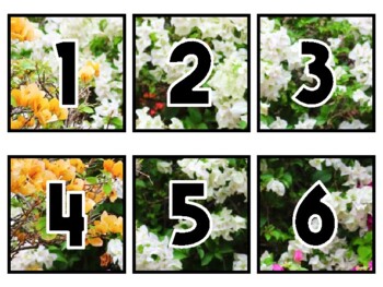Preview of Spring Classroom Calendar Set, Bougainvillea Flowers #2Sheet Size: 8.5 by 11