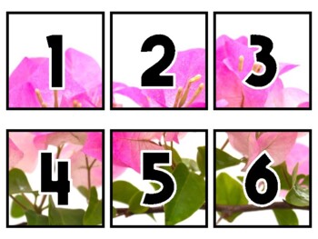 Preview of Spring Classroom Calendar Set, Bougainvillea Flowers #7Sheet Size: 8.5 by 11