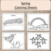 Spring Color Sheets Pages  Art flower, butterflies, birds,