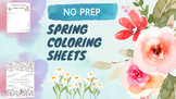 Spring Coloring/Drawing Activity Packet