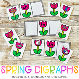 Spring Consonant Digraphs Sort - Digraphs Picture Sort