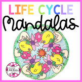 Spring Craft : Life Cycle Mandalas Art Projects
