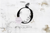 Spring Cycle