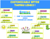 Spring Daisies LABELS (EDITABLE!!!)