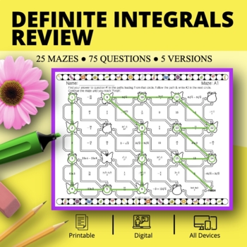 Preview of Spring: Definite Integrals REVIEW Maze Activity