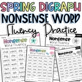 Spring Digraph Nonsense Word Fluency Practice Activities