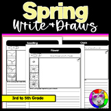 Spring Directed Drawing and Writing Worksheets Write & Dra
