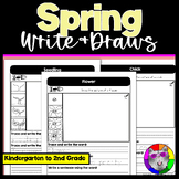 Spring Directed Drawing and Writing Worksheets Write & Dra