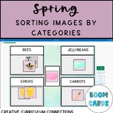 Spring/Easter  Sorting Images By Categories Drag and Drop