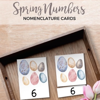 Preview of Spring Easter Themed Nomenclature Number Cards 1-10