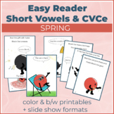Spring Easy Reader - short vowels and CVCe