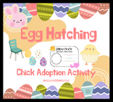 Spring Egg Easter Activity: Hatching your Own Chick Eggs