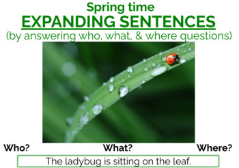Preview of Spring Expanding Sentences (answer who, what, and where questions) BOOM CARDS