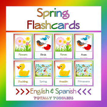 Preview of Spring | Flashcards | English & Spanish