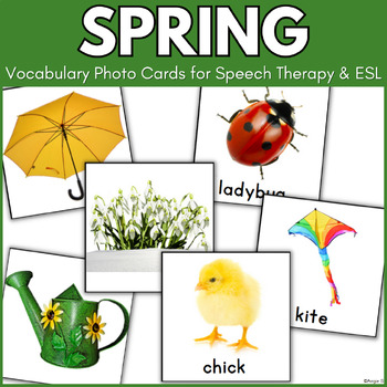 Preview of Spring Vocabulary Picture Cards Speech Therapy ESL Words Autism Special Ed