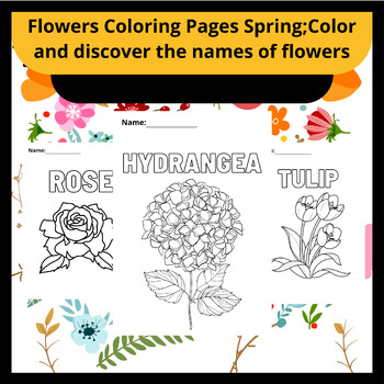 Preview of Spring Floral Delights: Dive into Colorful Blooms and Unveil Flower Names